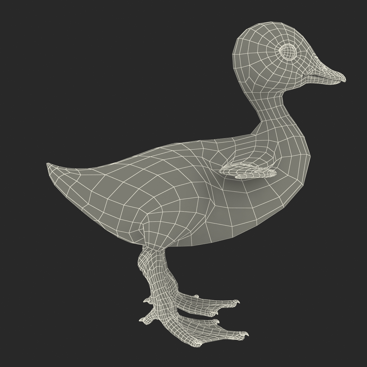 3D model Duckling Rigged