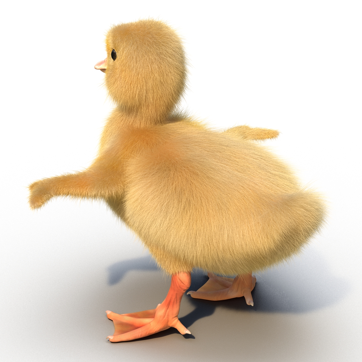 3D model Duckling