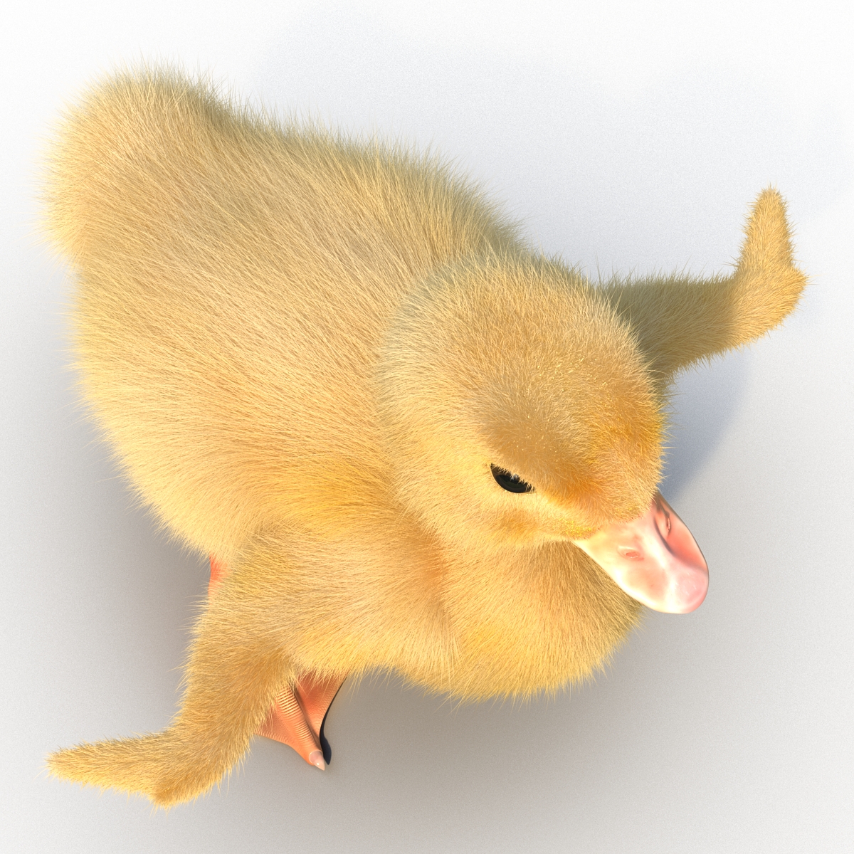 3D model Duckling