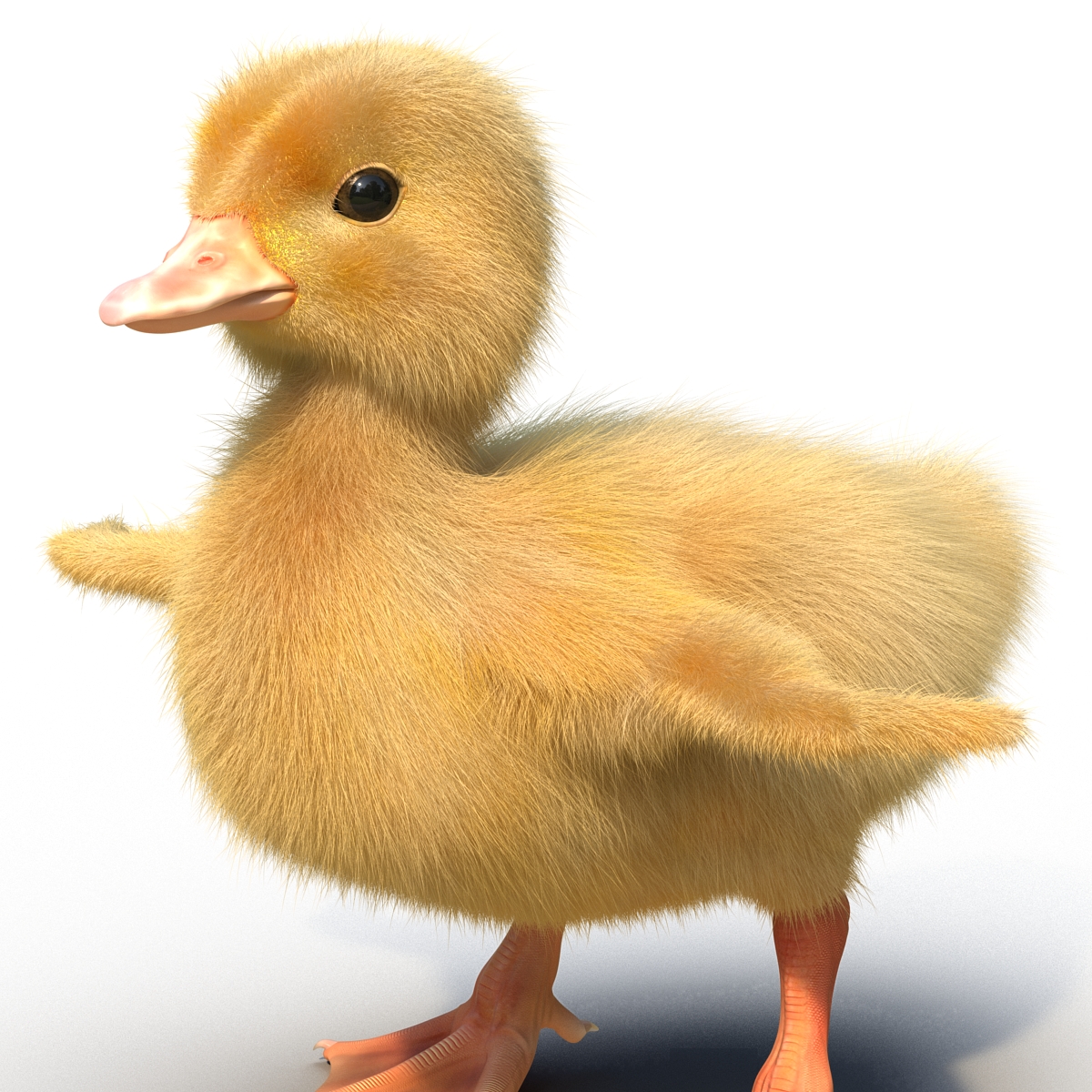 3D model Duckling