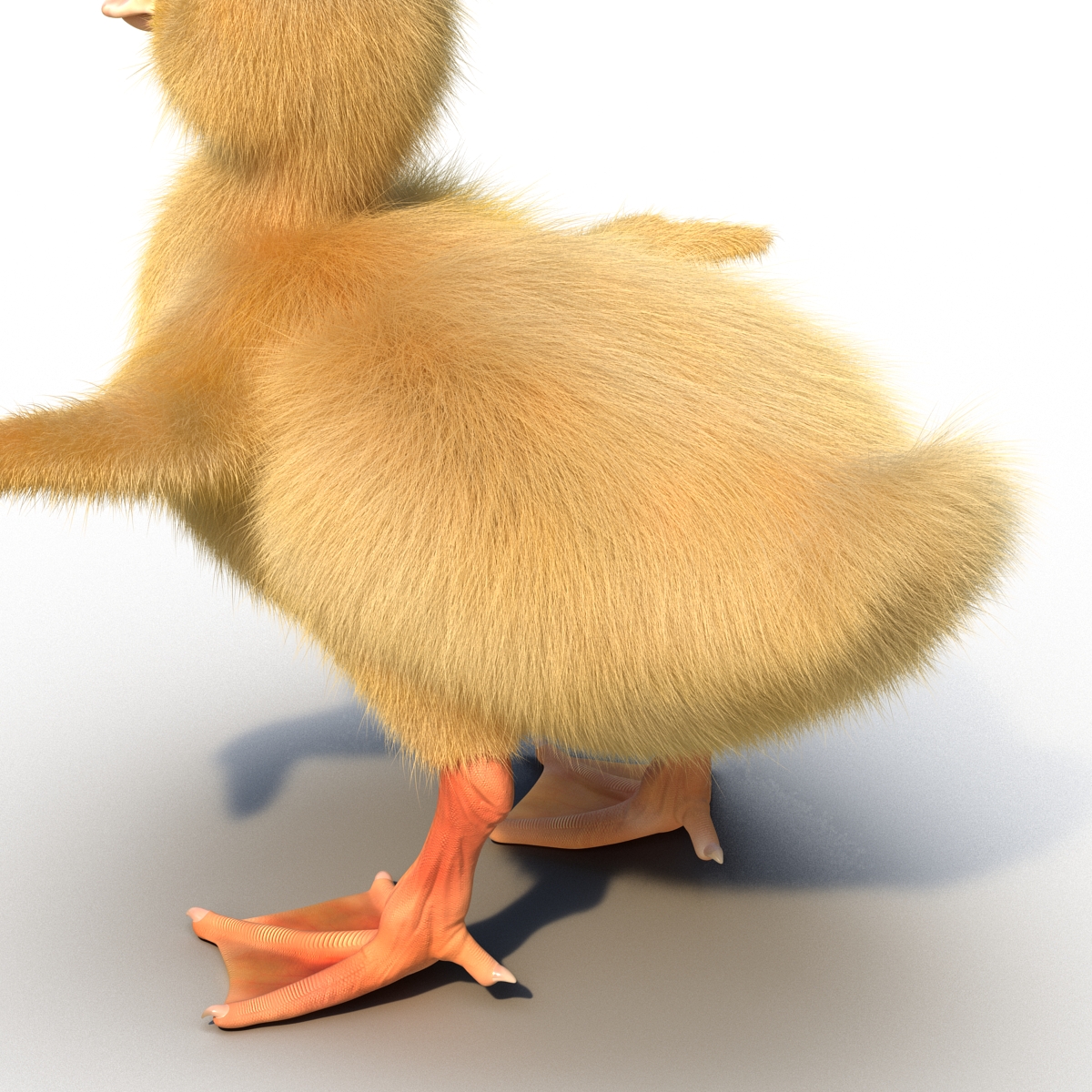 3D model Duckling