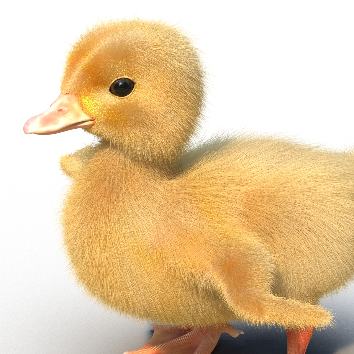 3D model Duckling