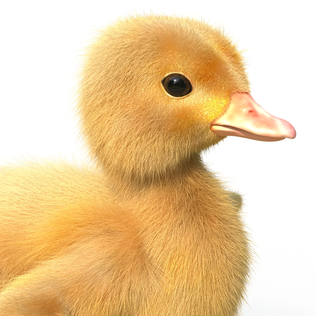 3D model Duckling