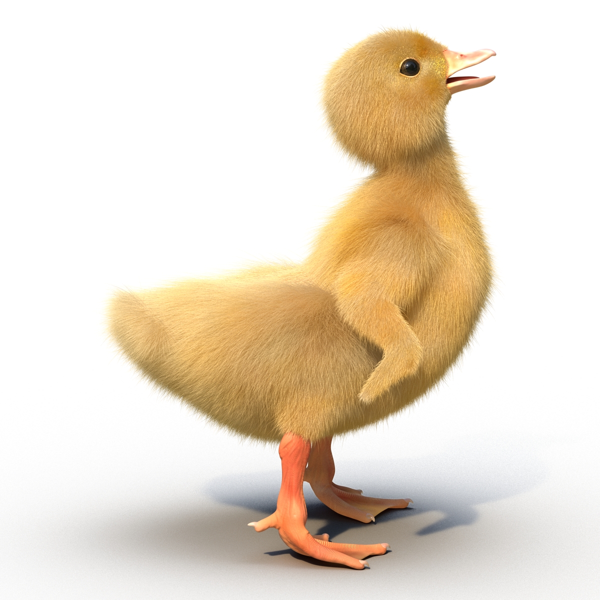 3D model Duckling Pose 4