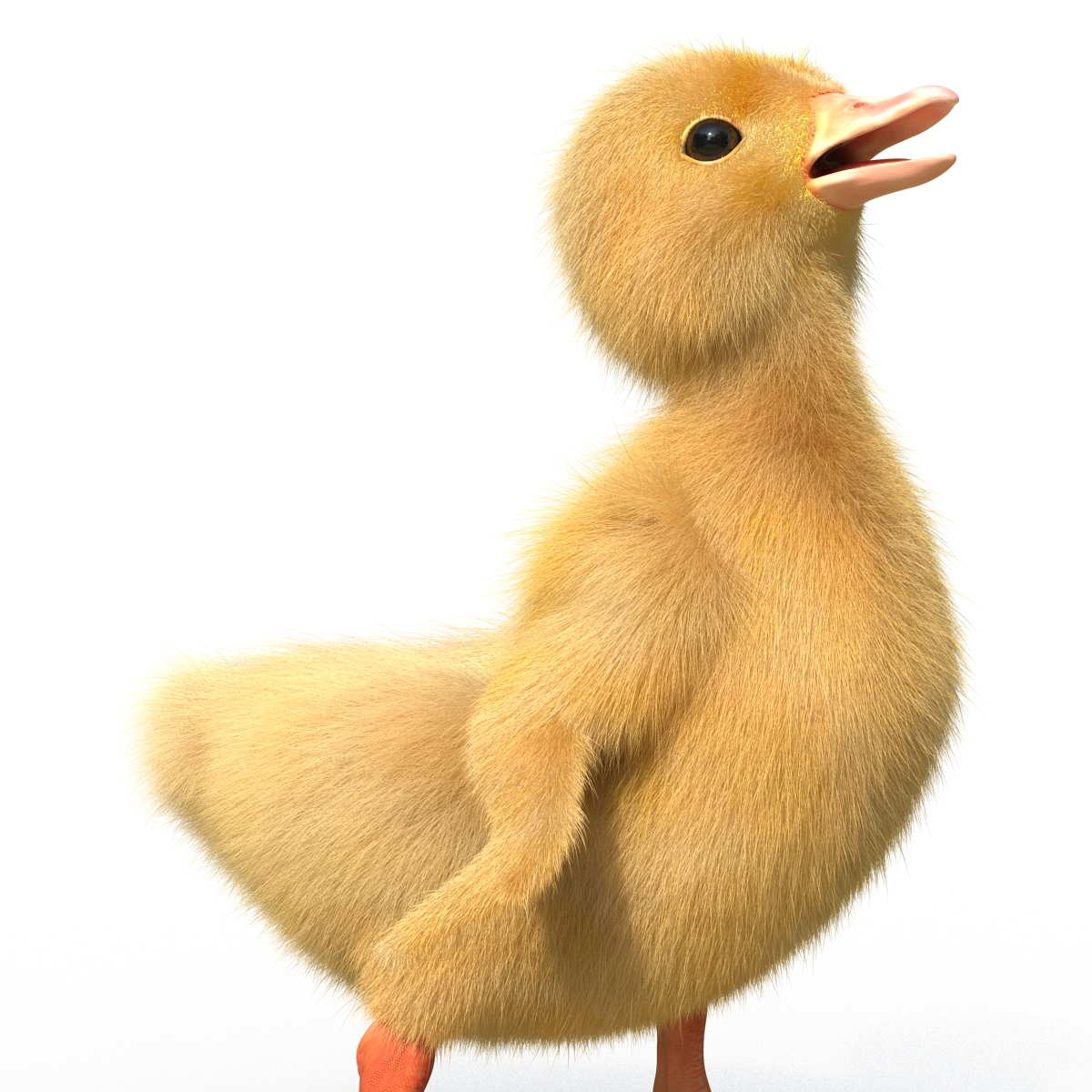 3D model Duckling Pose 4