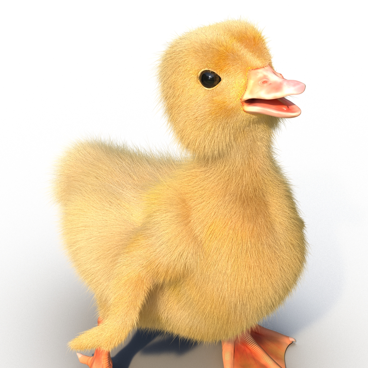 3D model Duckling Pose 4