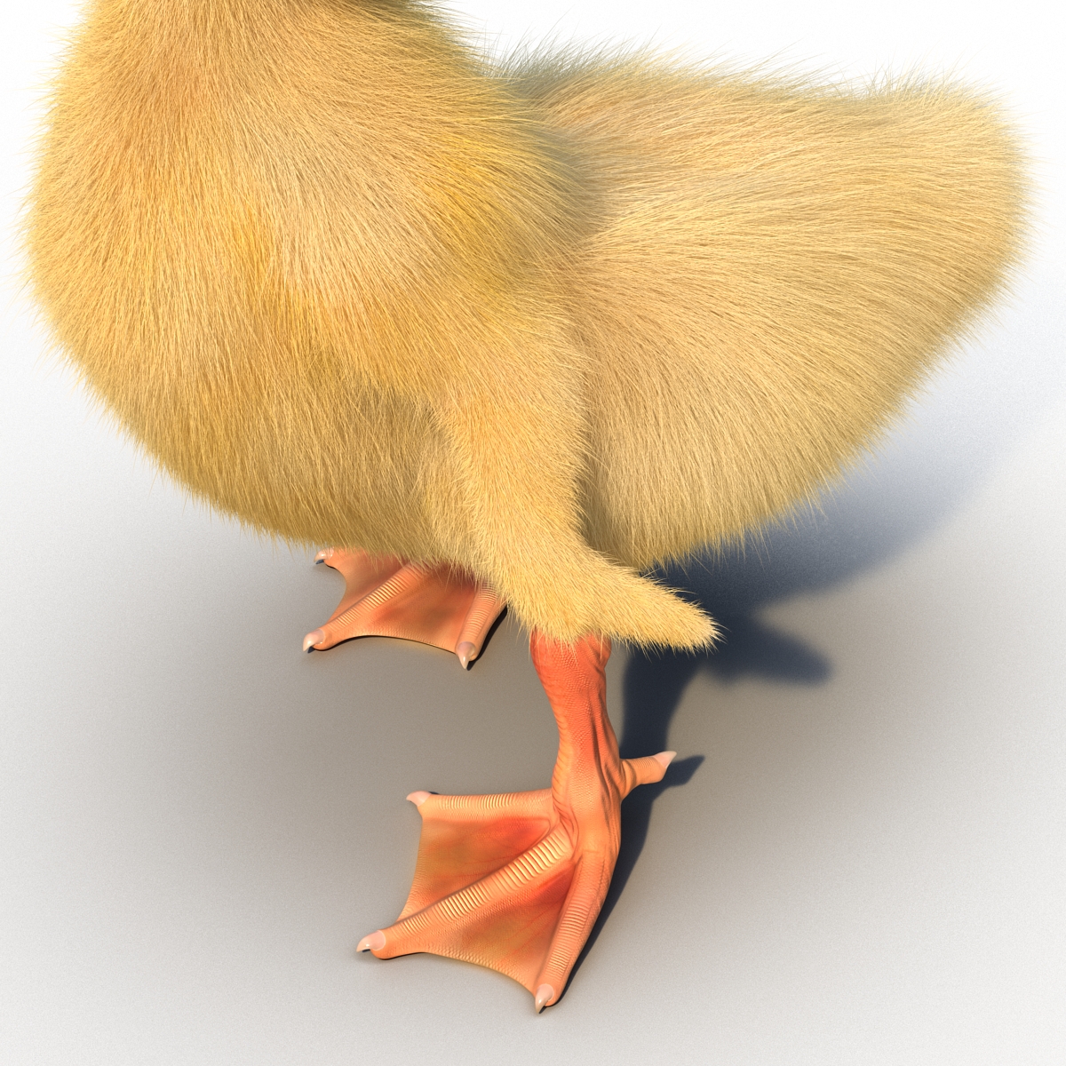 3D model Duckling Pose 4