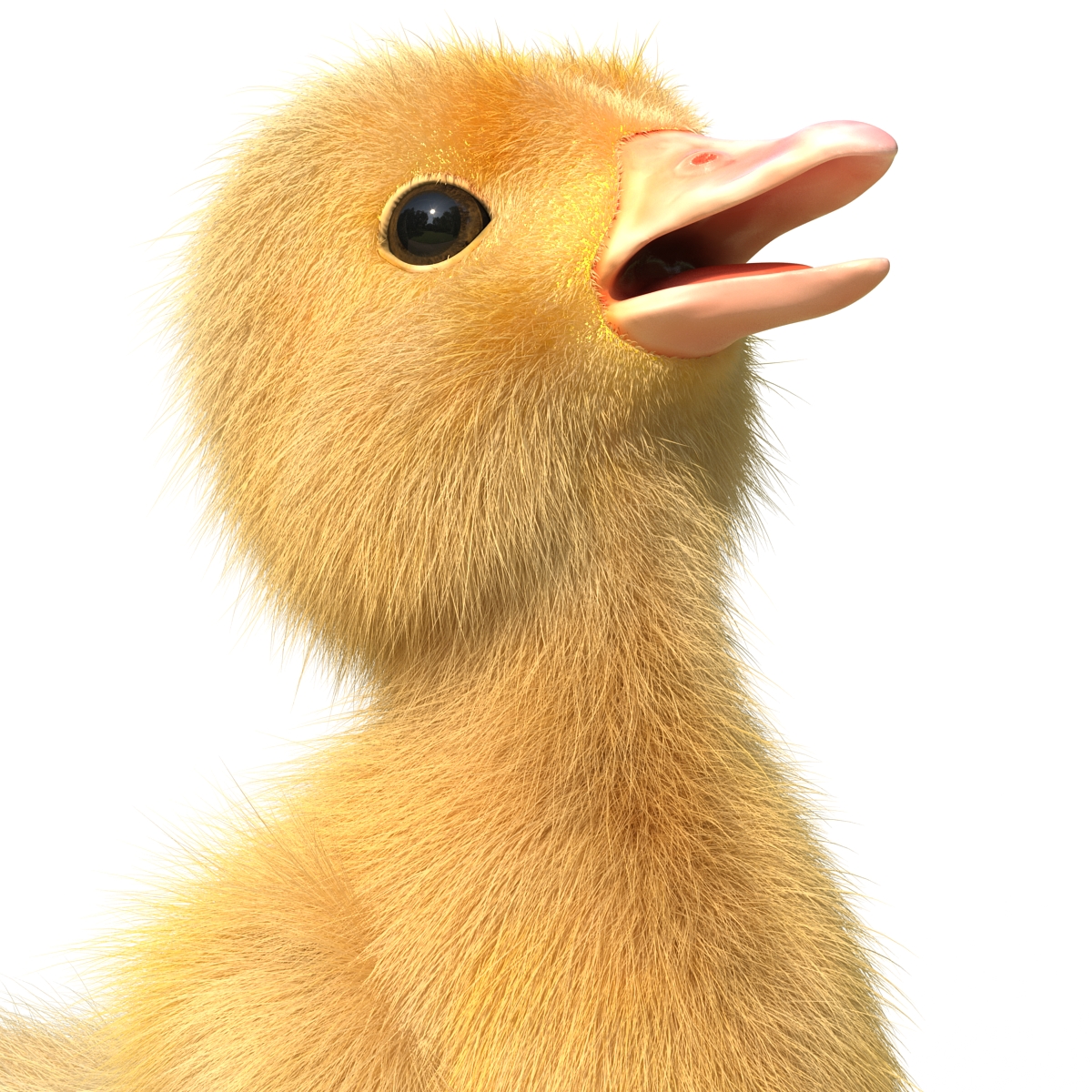 3D model Duckling Pose 4