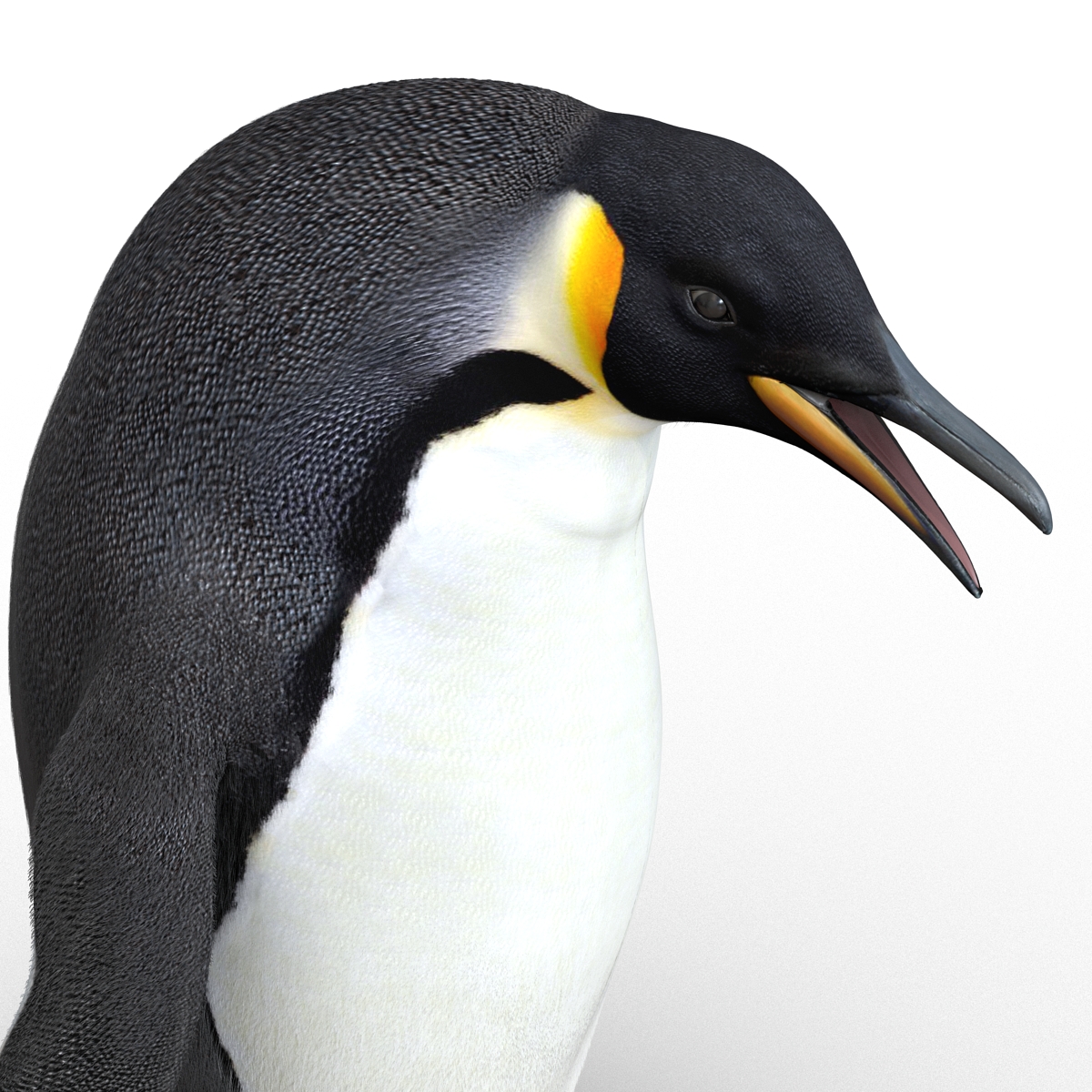 3D Penguin Pose 3 with Fur model