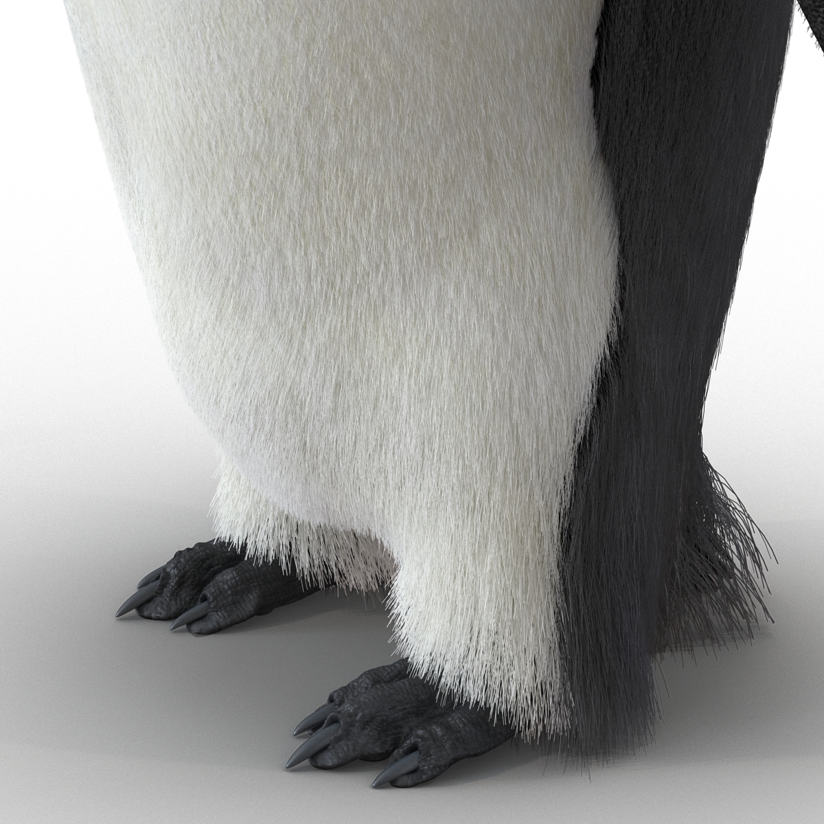 3D Penguin Pose 3 with Fur model