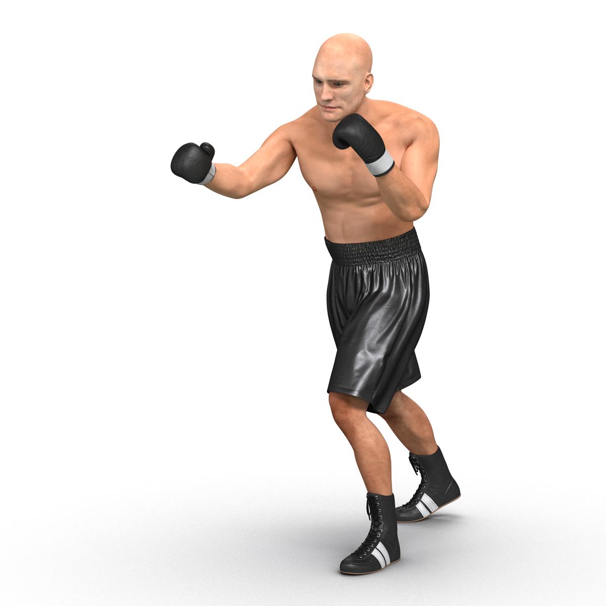 Adult Boxer Man Pose 3 3D