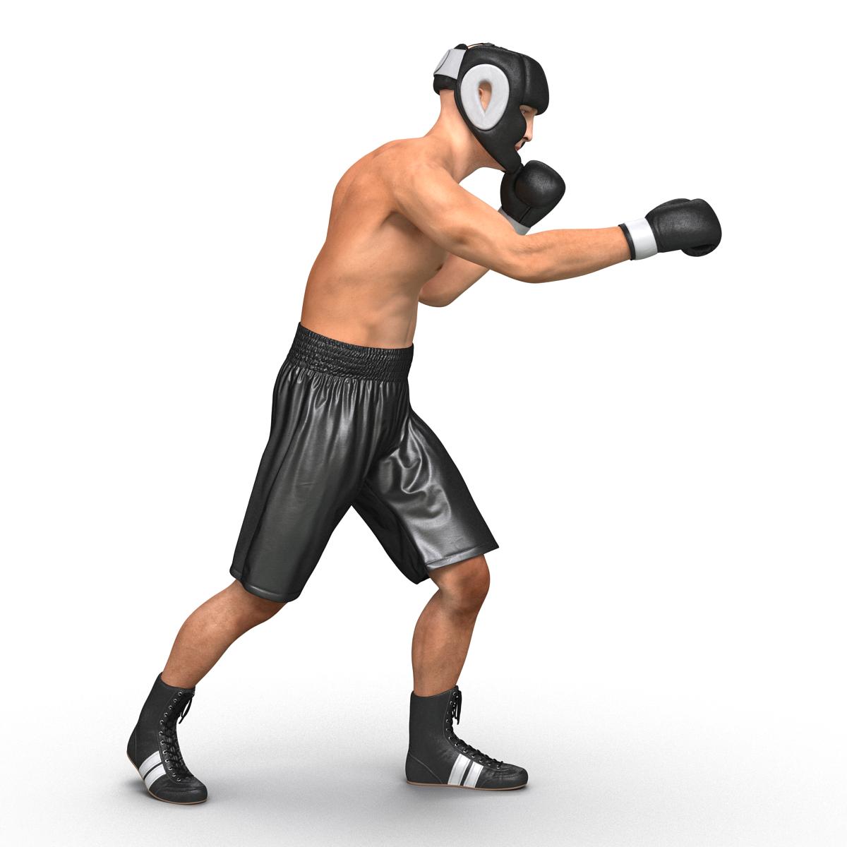 Adult Boxer Man Pose 3 3D