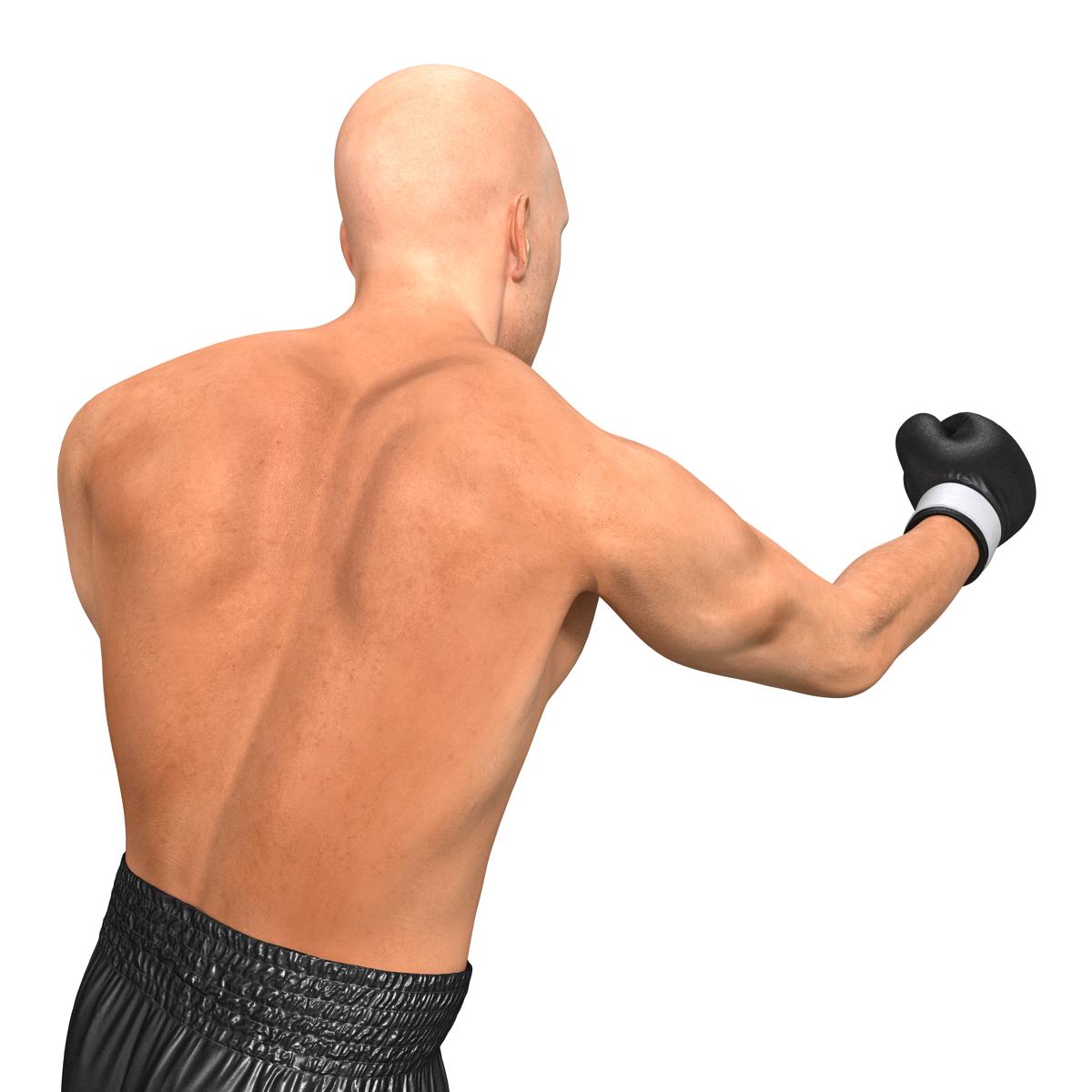 Adult Boxer Man Pose 3 3D