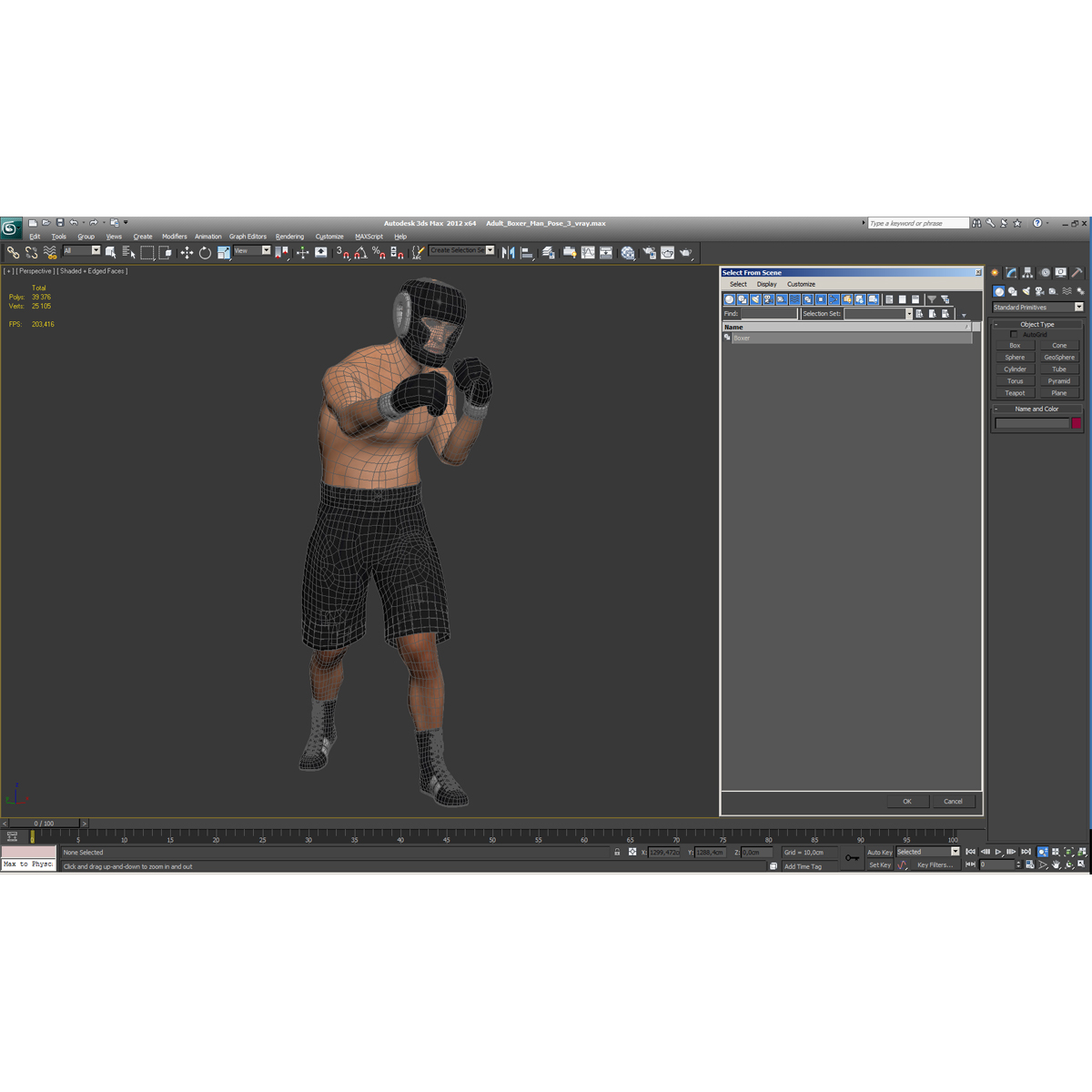 Adult Boxer Man Pose 3 3D