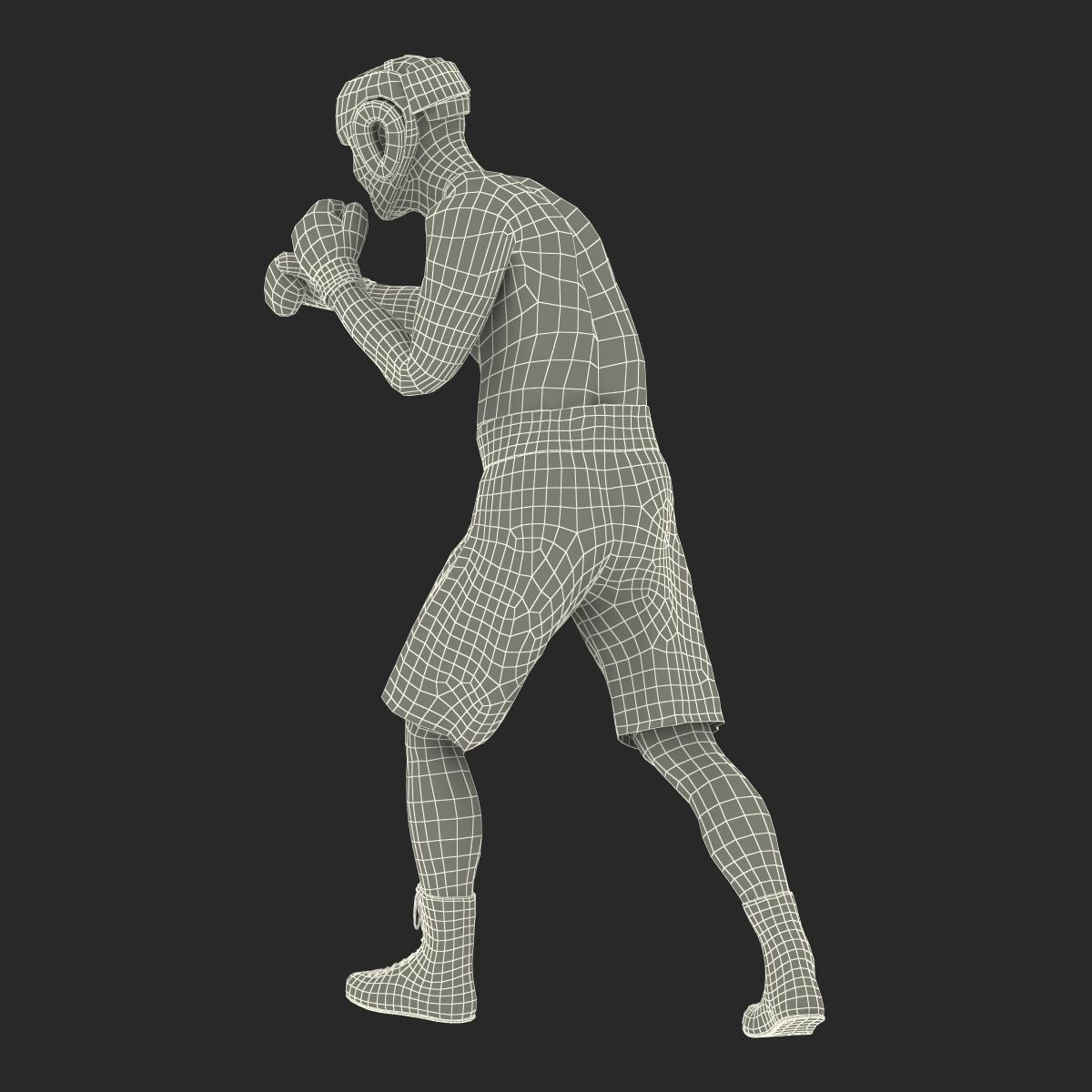 Adult Boxer Man Pose 3 3D