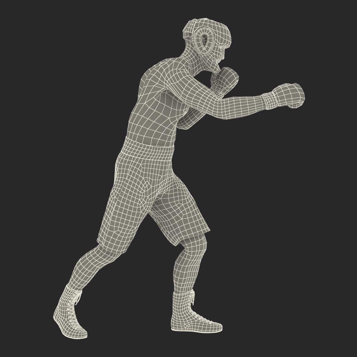 Adult Boxer Man Pose 3 3D