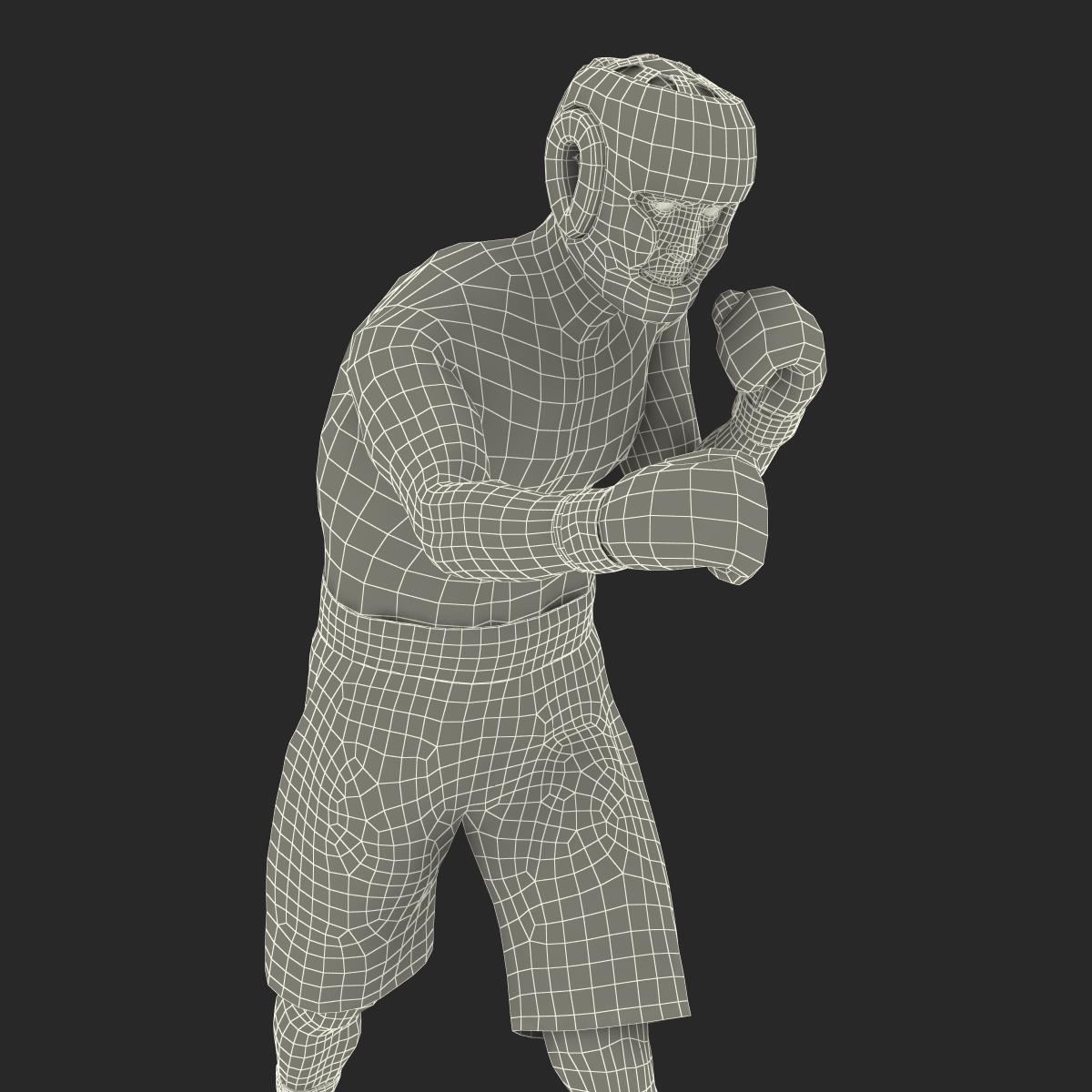 Adult Boxer Man Pose 3 3D