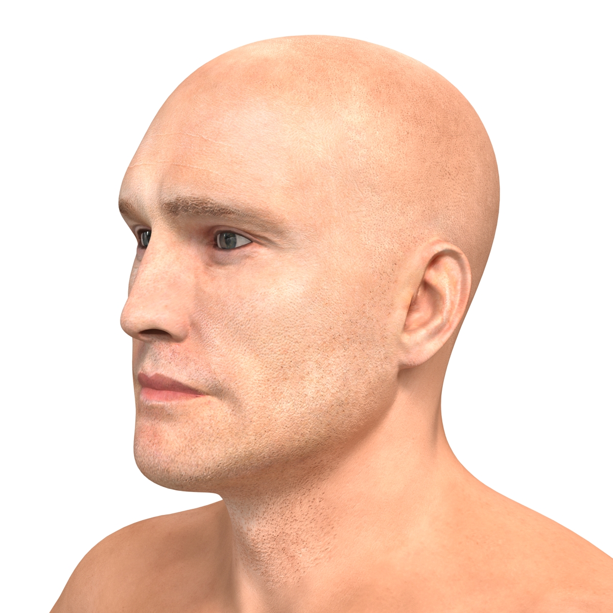 Boxer Man 3D model