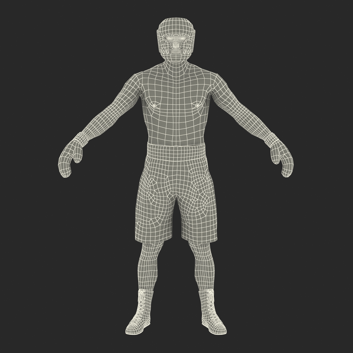 Boxer Man 3D model