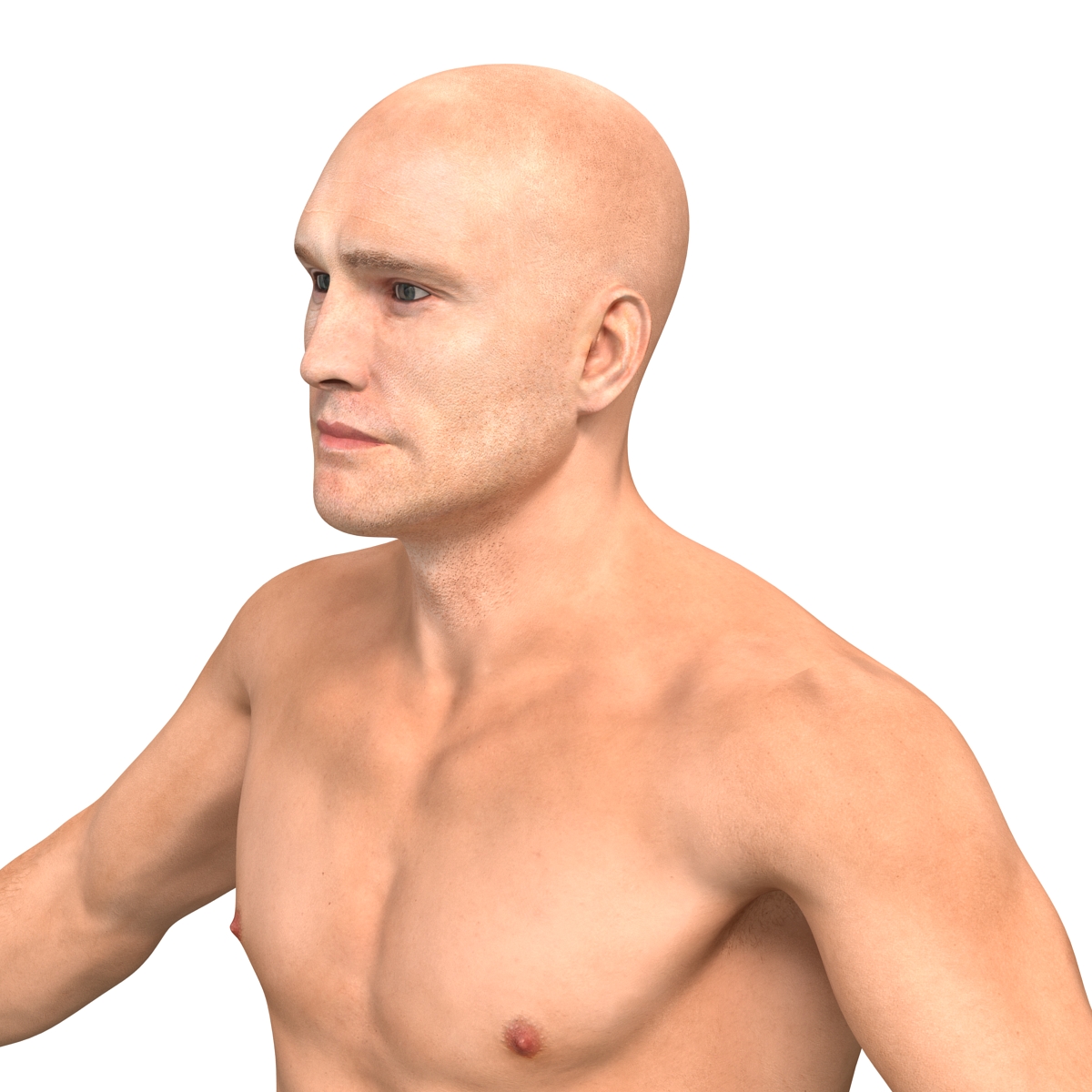 3D model Adult Boxer Man