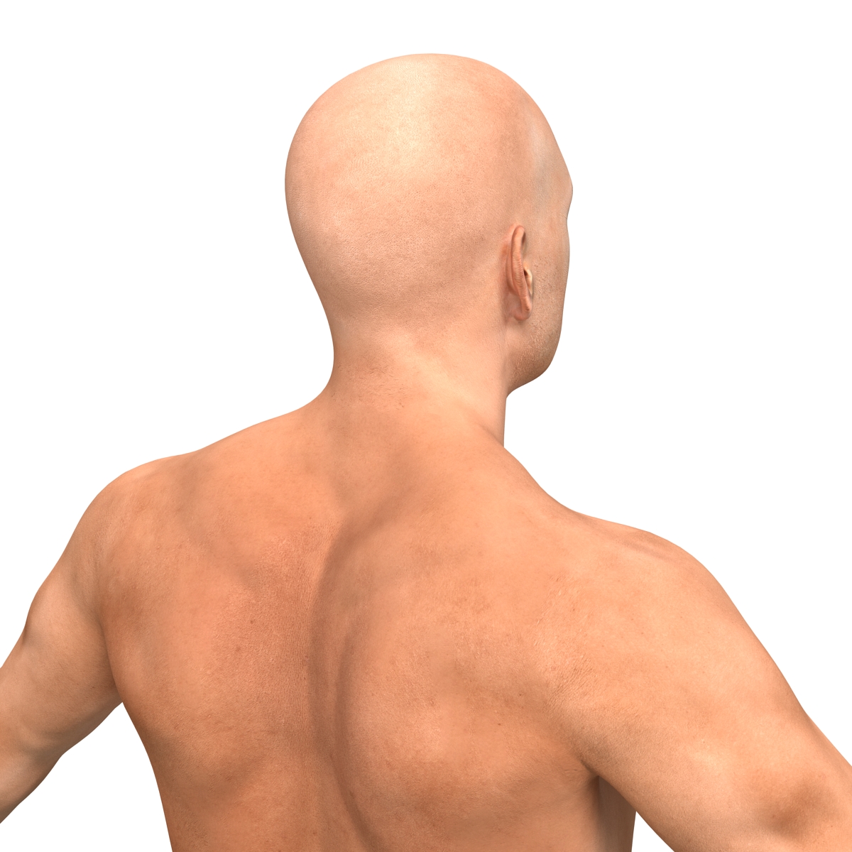 3D model Adult Boxer Man