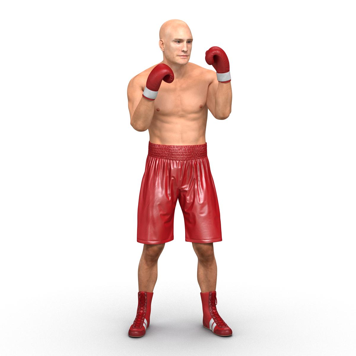 3D Boxer Man Pose 2