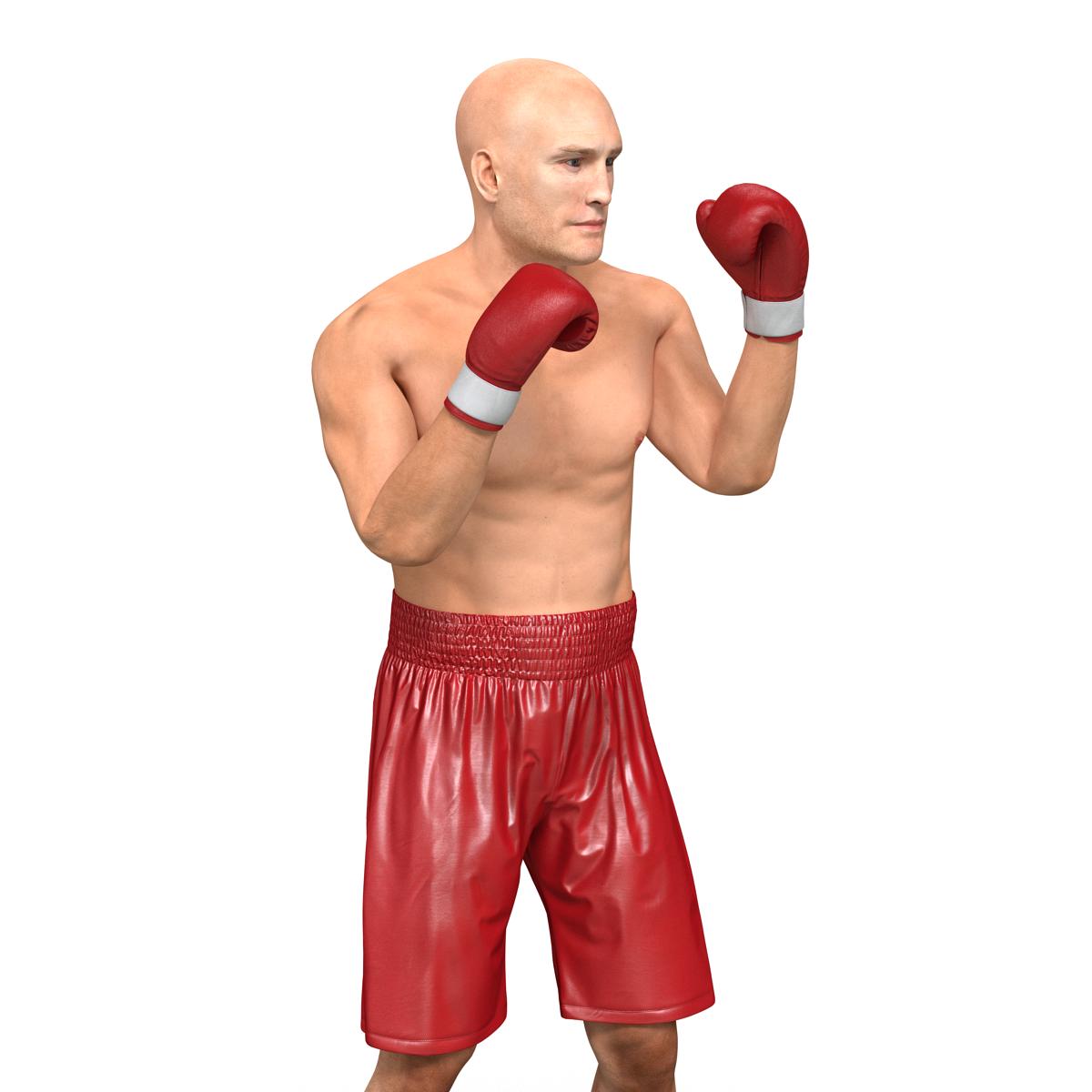 3D Boxer Man Pose 2