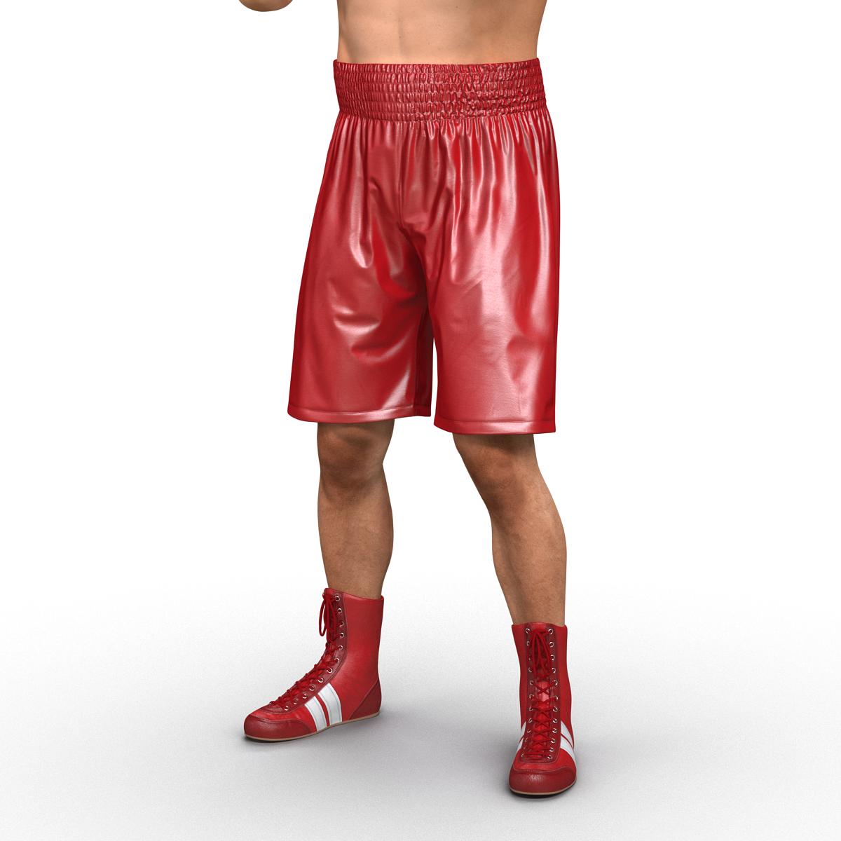 3D Boxer Man Pose 2