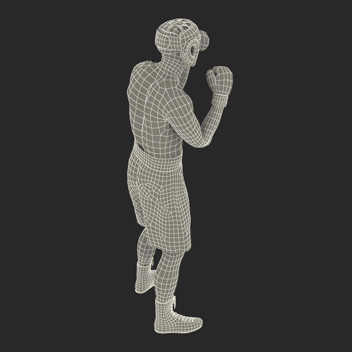 3D Boxer Man Pose 2