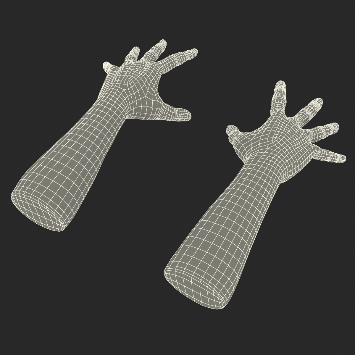 3D Man Hands Rigged