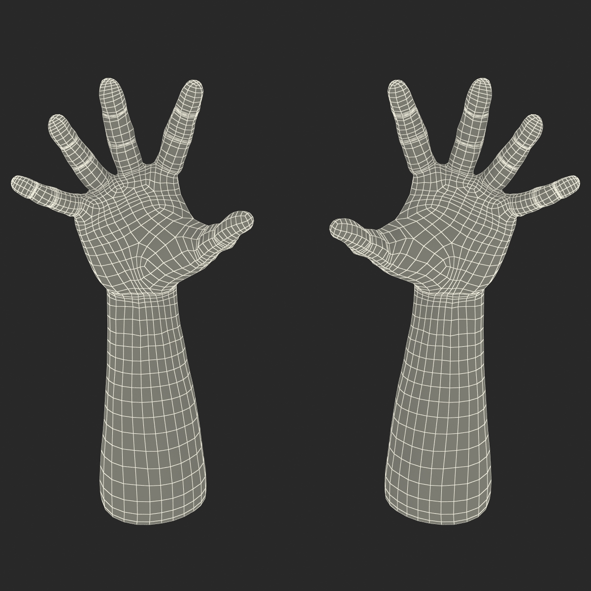 3D Man Hands Rigged