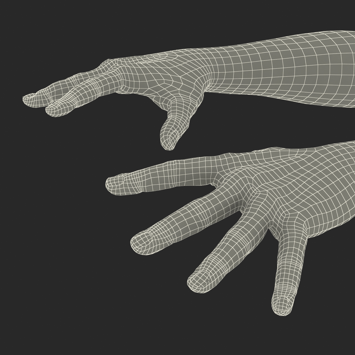 3D Man Hands Rigged