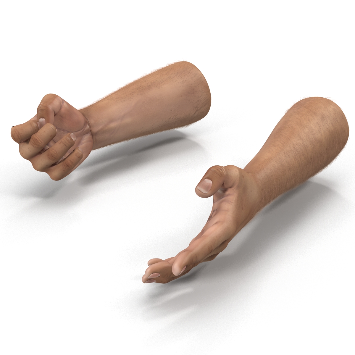 3D model Man Hands with Fur Rigged