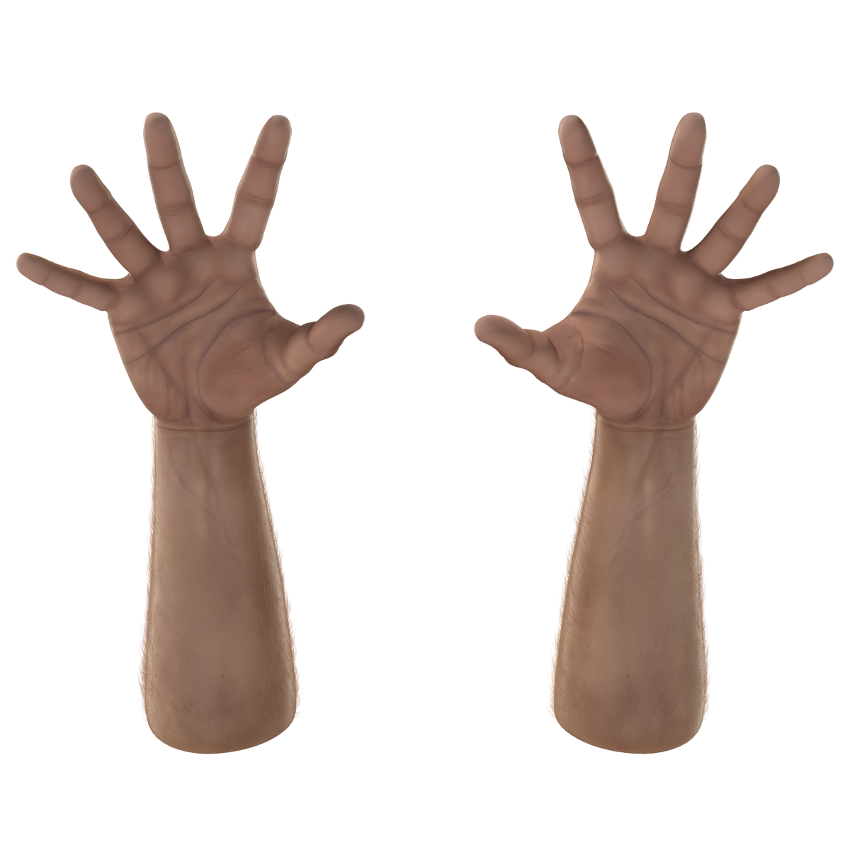 3D model Man Hands with Fur Rigged