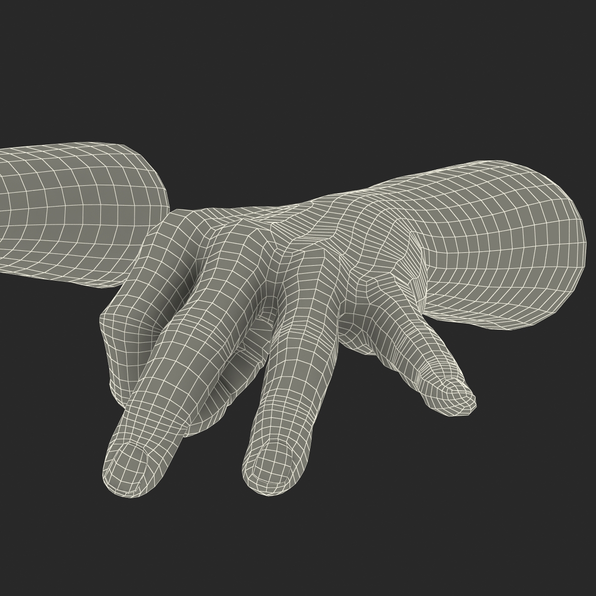 3D model Man Hands with Fur Rigged