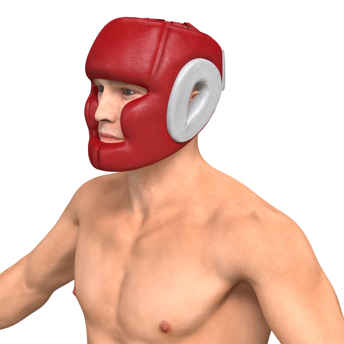 Boxer Man 3D model