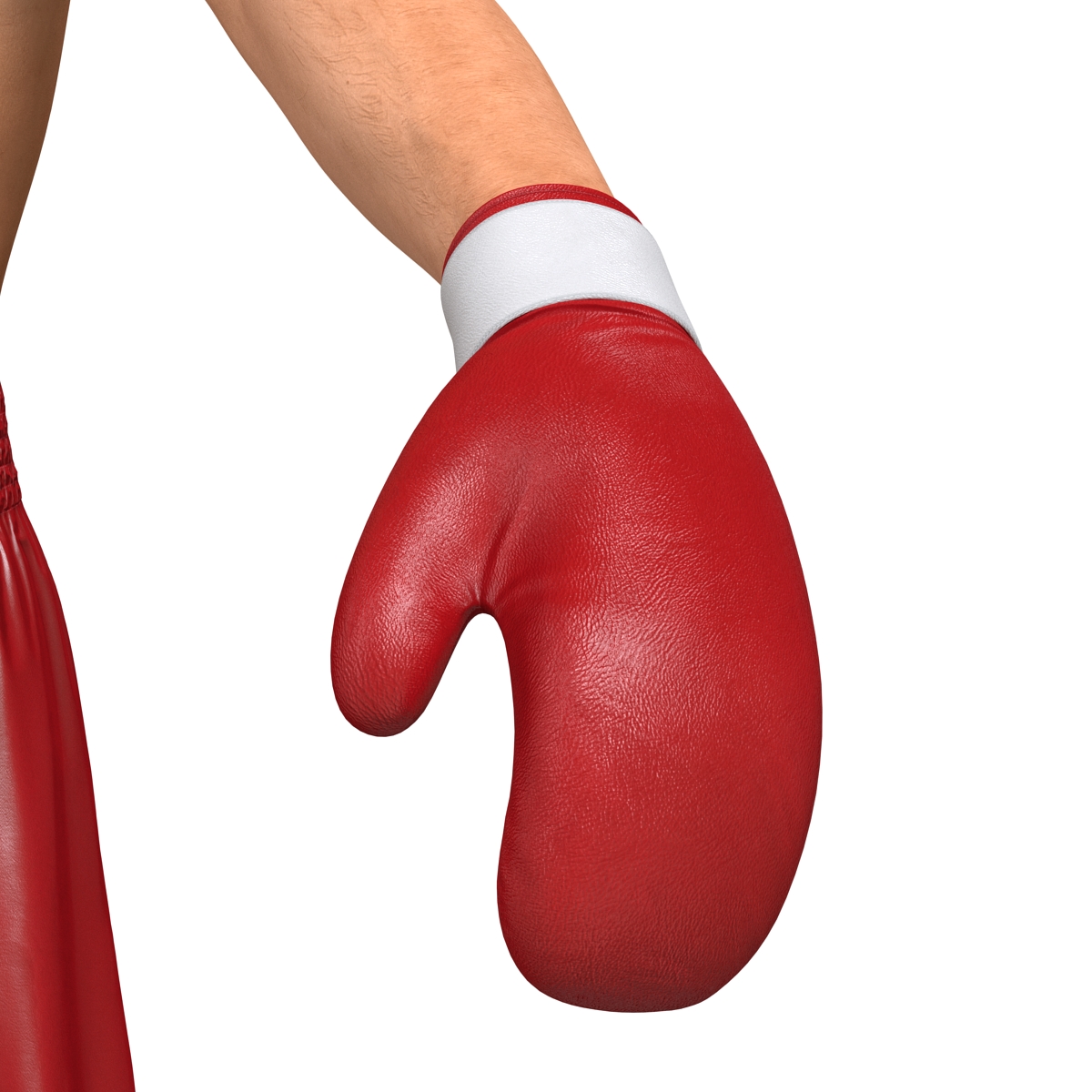 Boxer Man 3D model