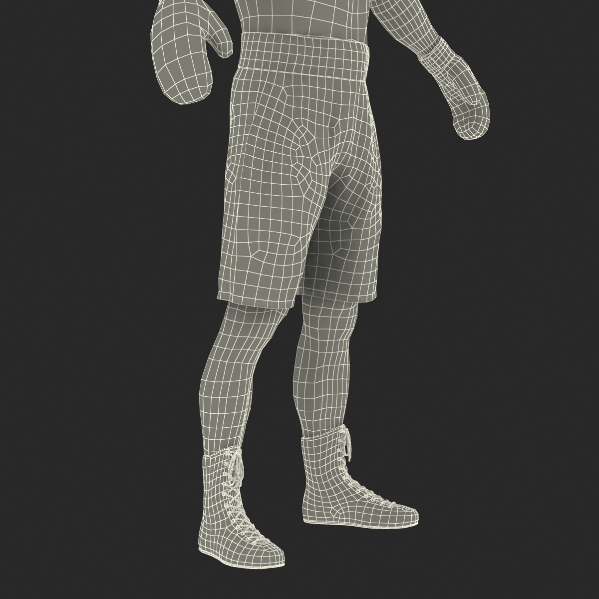 Boxer Man 3D model