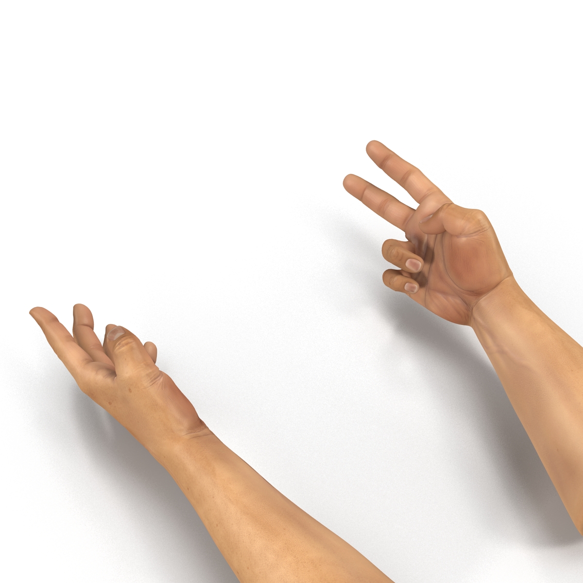 3D Man Hands 2 Rigged model