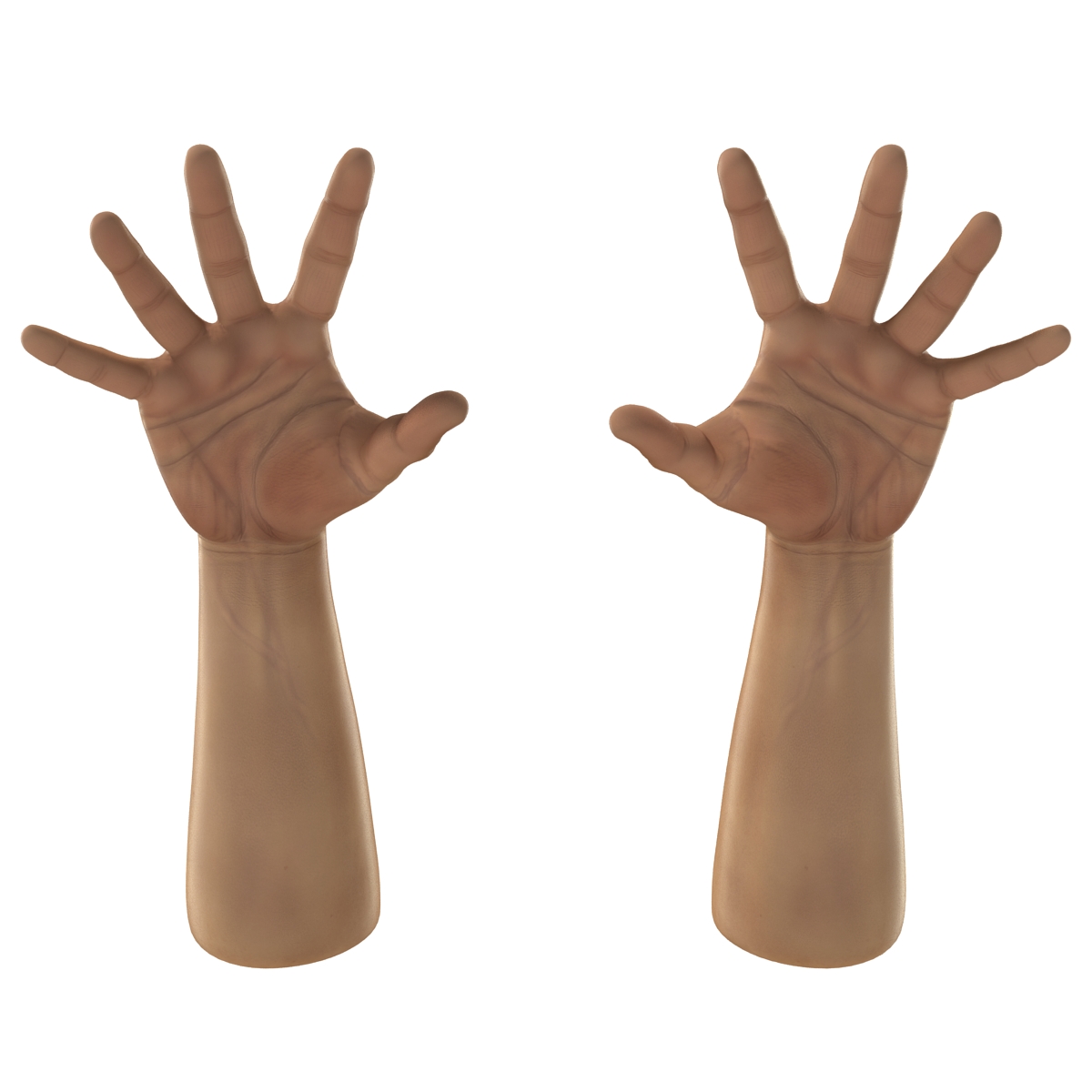 3D Man Hands 2 Rigged model