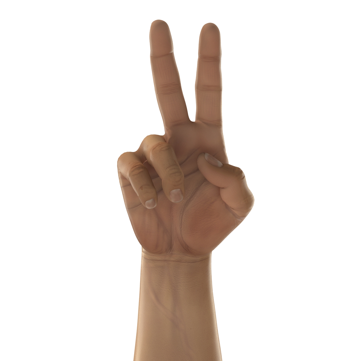 3D Man Hands 2 Rigged model