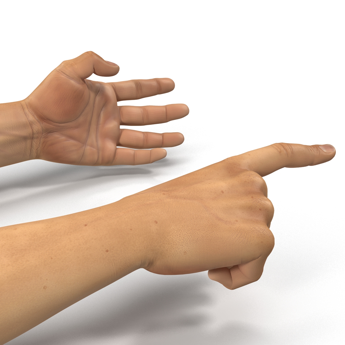 3D Man Hands 2 Rigged model