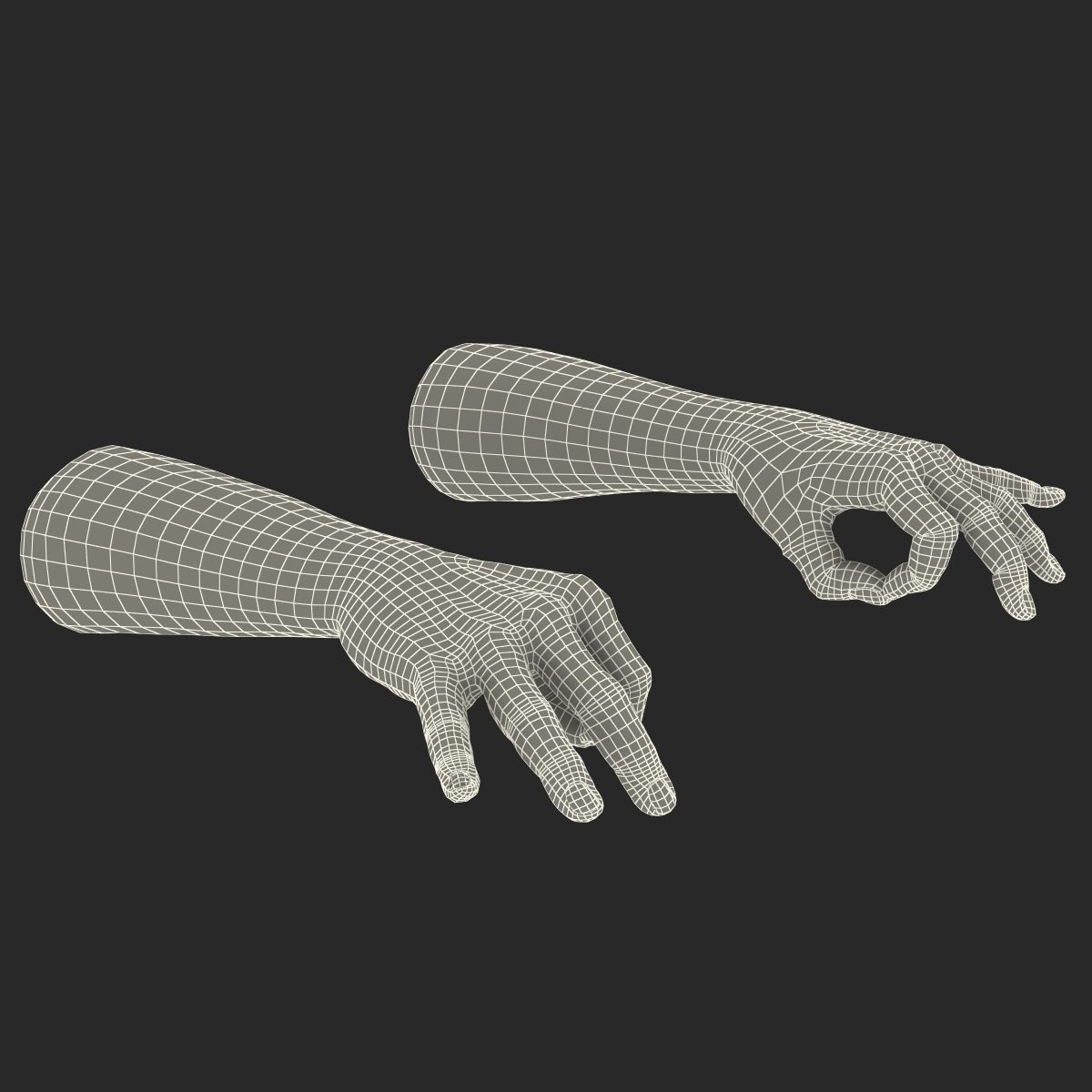 3D Man Hands 2 Rigged model