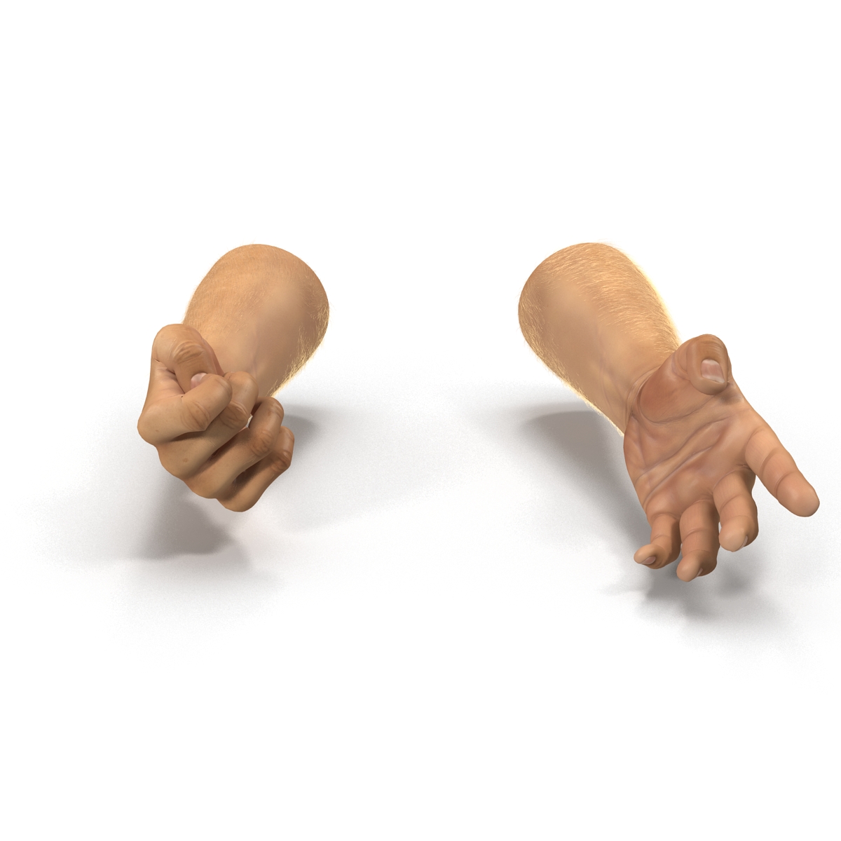 Man Hands 2 with Fur Rigged 3D