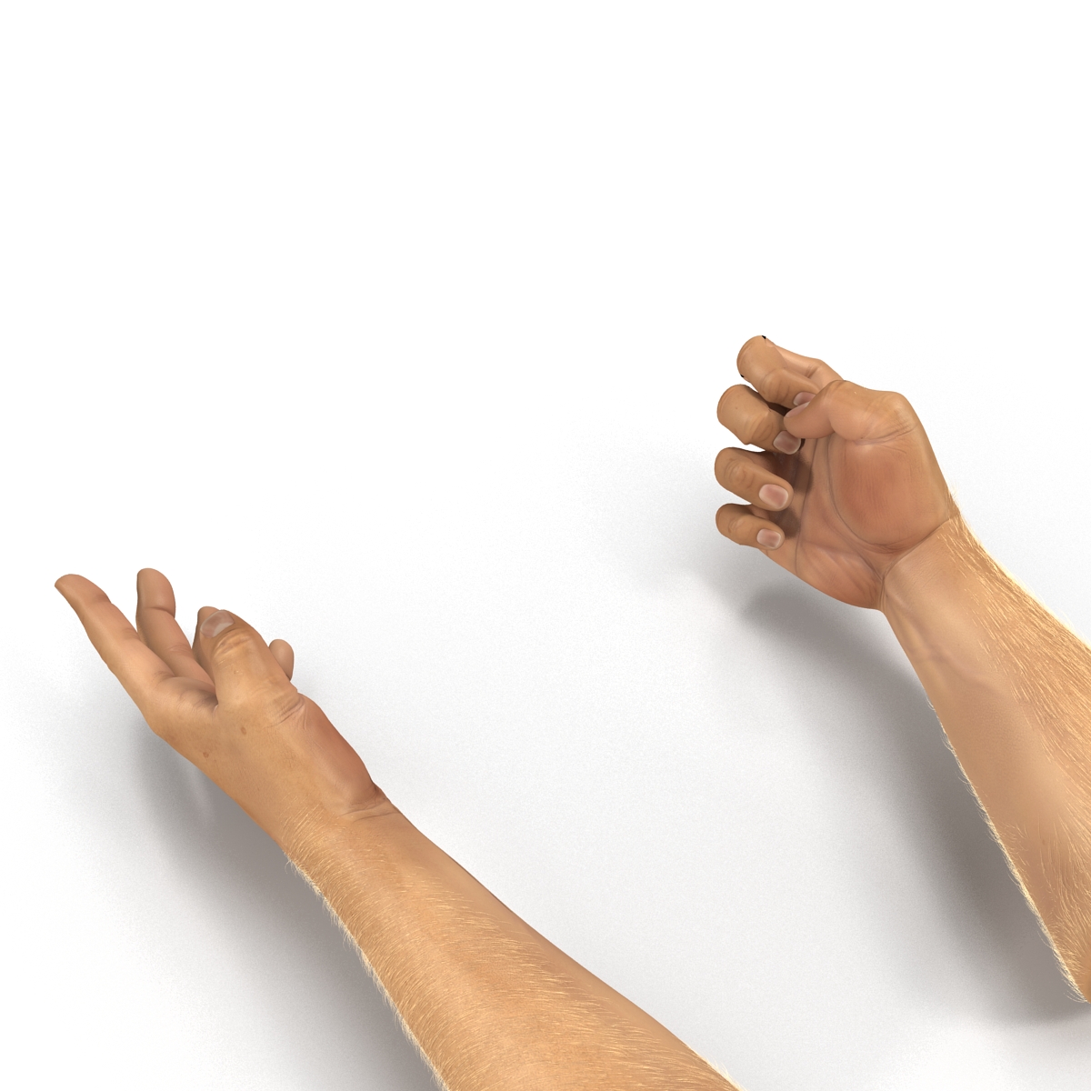 Man Hands 2 with Fur Rigged 3D