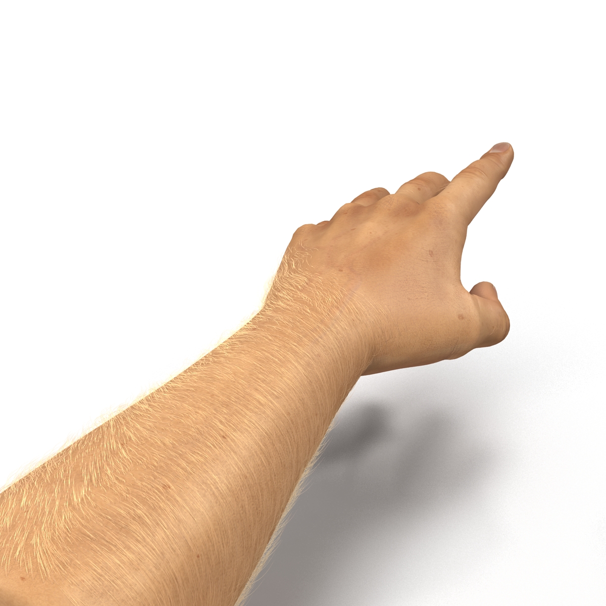 Man Hands 2 with Fur Rigged 3D