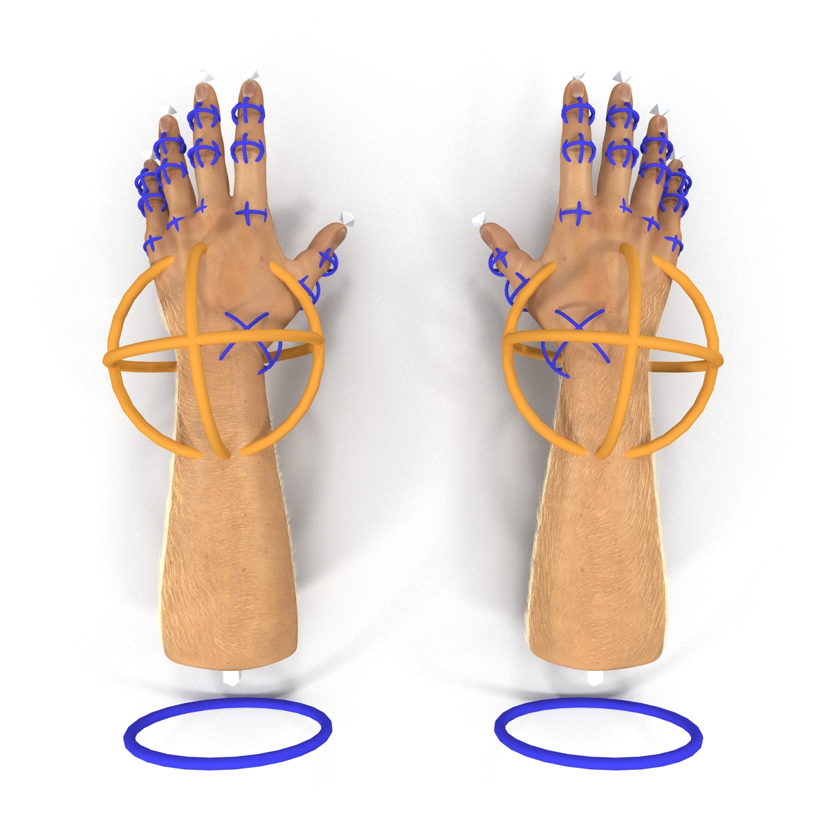 Man Hands 2 with Fur Rigged 3D