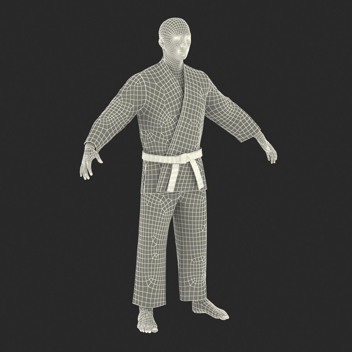 3D Japanese Karate Fighter model