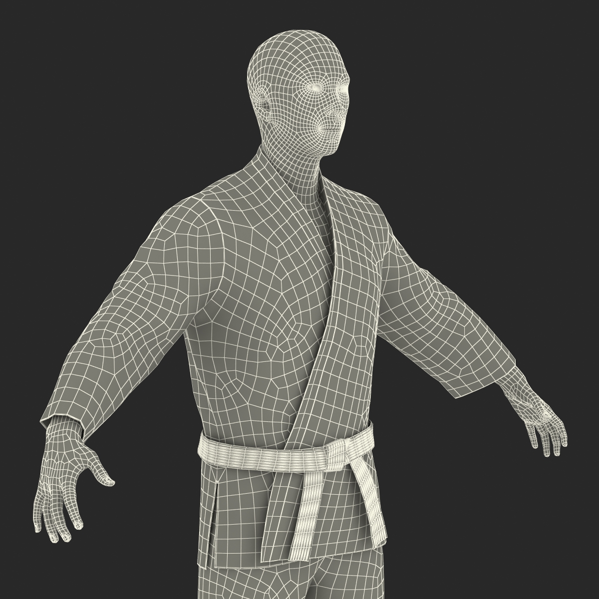 3D Japanese Karate Fighter model