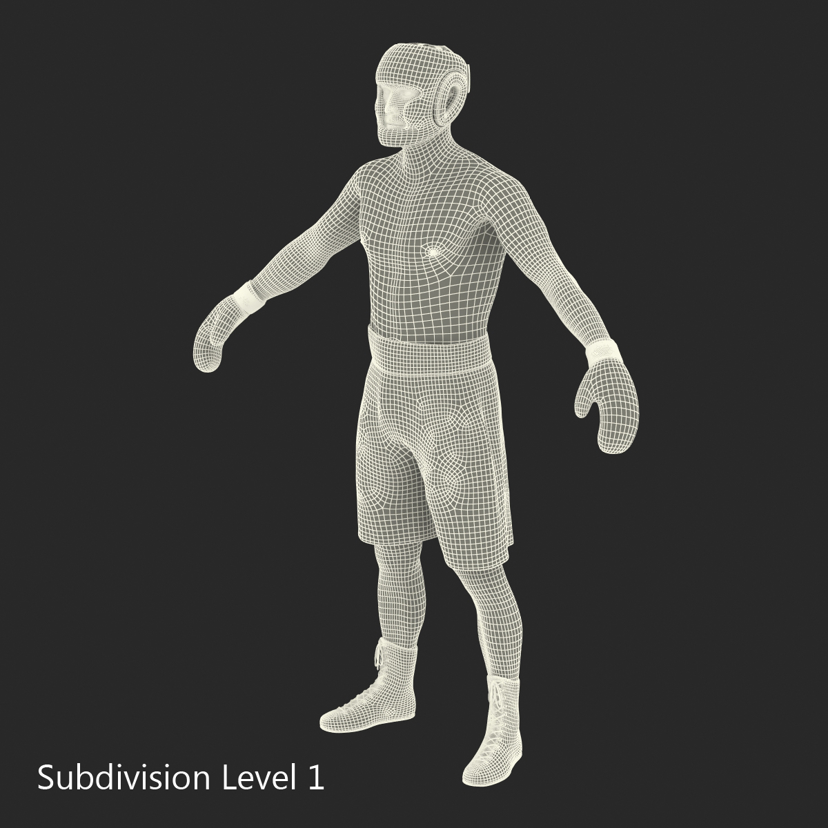 Adult Boxer Man Rigged 3D